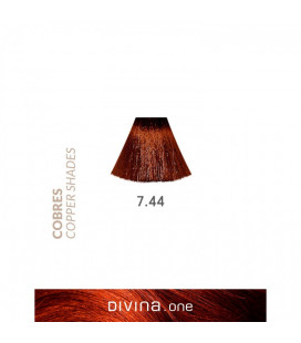 Eva Professional Divina.One Vopsea de par 7.44 Whisky Coppery