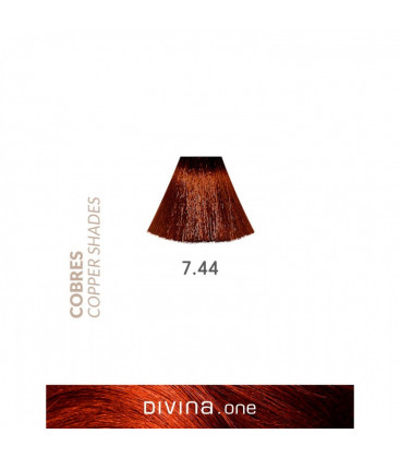 Eva Professional Divina.One Vopsea de par 7.44 Whisky Coppery