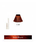 Eva Professional Divina.One Vopsea de par 7.44 Whisky Coppery