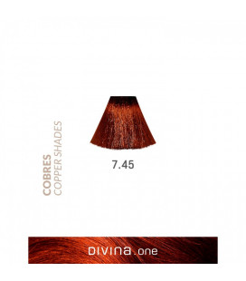 Eva Professional Divina.One Vopsea de par 7.45 Rum Coppery