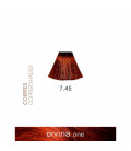 Eva Professional Divina.One Vopsea de par 7.45 Rum Coppery