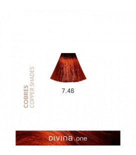 Eva Professional Divina.One Vopsea de par 7.46 Cognac Coppery