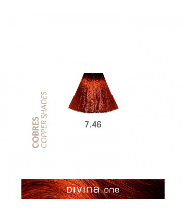 Eva Professional Divina.One Vopsea de par 7.46 Cognac Coppery