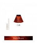 Eva Professional Divina.One Vopsea de par 7.46 Cognac Coppery