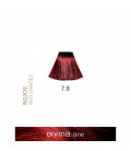 Eva Professional Divina.One Vopsea de par 7.6 Coral Red