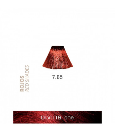 Eva Professional Divina.One Vopsea de par 7.65 Grand Canyon Red