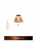 Vopsea de par 9+ Extra Light Blonde Plus 100 ml Divina.One Eva Professional