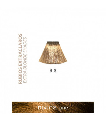 Vopsea de par 9.3 Minerva Extra Blonde 100 ml Divina.One Eva Professional