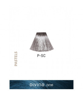 Vopsea de par NP-SC Silver Cloud Pastel 60 ml Divina.One Eva Professional