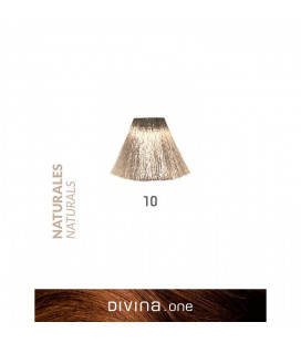 Vopsea de par 10 Platinum Blonde 100 ml Divina.One Eva Professional