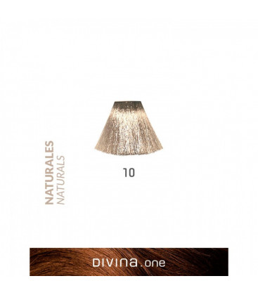 Vopsea de par 10 Platinum Blonde 100 ml Divina.One Eva Professional