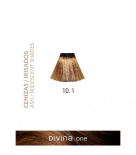 Vopsea de par 10.1 Platinum Ash 100 ml Divina.One Eva Professional