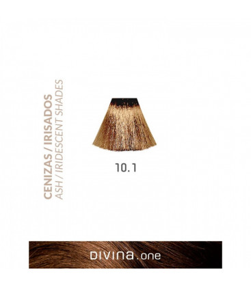 Vopsea de par 10.1 Platinum Ash 100 ml Divina.One Eva Professional