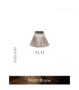 Vopsea de par 11.11 Extra Light Iced Ash 100 ml Divina.One Eva Professional