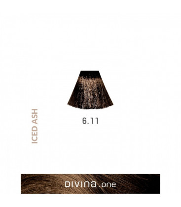 Vopsea de par 6.11 Dark Iced Ash 100 ml Divina.One Eva Professional