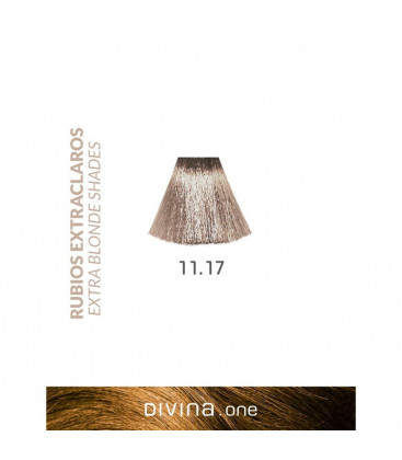 Vopsea de par 11.17 Nordic Extra Blonde 100 ml Divina.One Eva Professional