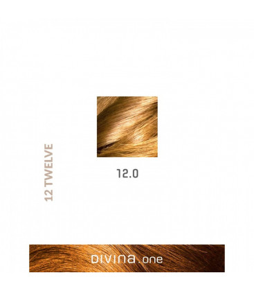 Vopsea de par 12.0 Ultra Natural Blonde 100 ml Divina.One Eva Professional