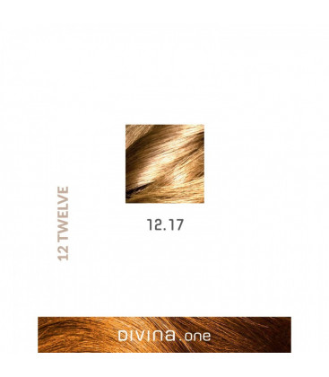 Vopsea de par 12.17 Ultra Silver Ash Blonde 100 ml Divina.One Eva Professional