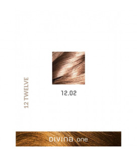Vopsea de par 12.02 Iridescent Ultra Blonde 100 ml Divina.One Eva Professional