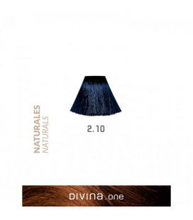 Vopsea de par 2.10 Bluish Black 100 ml Divina.One Eva Professional