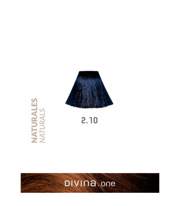 Vopsea de par 2.10 Bluish Black 100 ml Divina.One Eva Professional