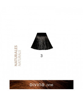 Vopsea de par 3 Dark Chestnut Brown 100 ml Divina.One Eva Professional