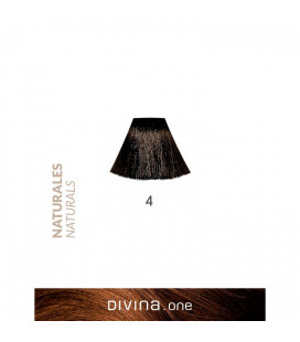 Vopsea de par 4 Chestnut Brown 100 ml Divina.One Eva Professional