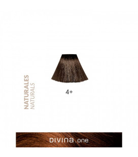 Vopsea de par 4+ Chestnut Brown Plus 100 ml Divina.One Eva Professional