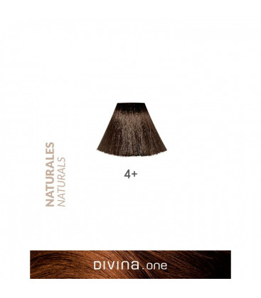 Vopsea de par 4+ Chestnut Brown Plus 100 ml Divina.One Eva Professional