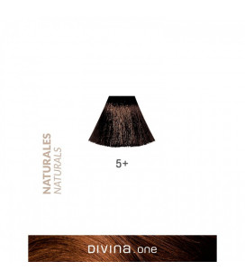 Vopsea de par 5+ Light Chestnut Brown Plus 100 ml Divina.One Eva Professional