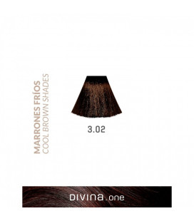 Vopsea de par 3.02 Swiss Brown 100 ml Divina.One Eva Professional