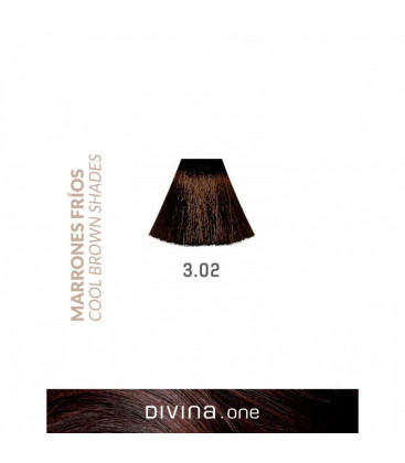 Vopsea de par 3.02 Swiss Brown 100 ml Divina.One Eva Professional