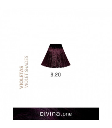 Vopsea de par 3.20 Indigo Violet 100 ml Divina.One Eva Professional