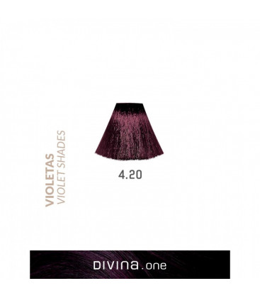 Vopsea de par 4.20 Blueberry Violet 100 ml Divina.One Eva Professional