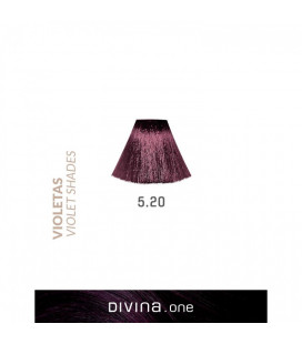 Vopsea de par 5.20 Grape Violet 100 ml Divina.One Eva Professional