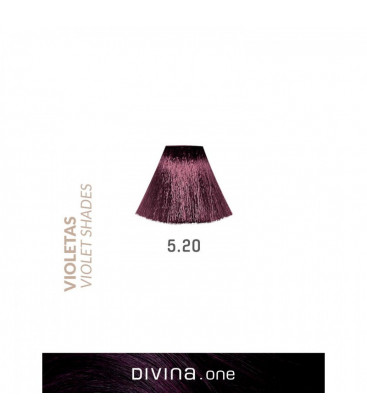 Vopsea de par 5.20 Grape Violet 100 ml Divina.One Eva Professional