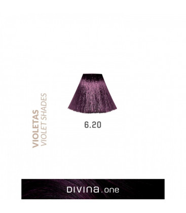 Vopsea de par 6.20 Blackberry Violet 100 ml Divina.One Eva Professional