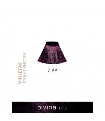 Vopsea de par 7.22 Plum Violeta 100 ml Divina.One Eva Professional