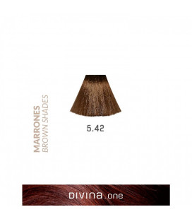 Vopsea de par 5.42 Hurricane Brown 100 ml Divina.One Eva Professional