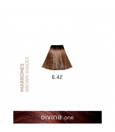 Vopsea de par 6.42 Brown Ice Brown 100 ml Divina.One Eva Professional