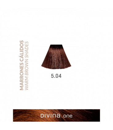 Vopsea de par 5.04 Chocolate Brown 100 ml Divina.One Eva Professional