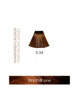 Vopsea de par 5.34 Miami Brown 100 ml Divina.One Eva Professional