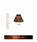 Vopsea de par 7.23 Cappuccino Brown 100 ml Divina.One Eva Professional