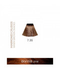 Vopsea de par 7.35 Irish Brown 100 ml Divina.One Eva Professional