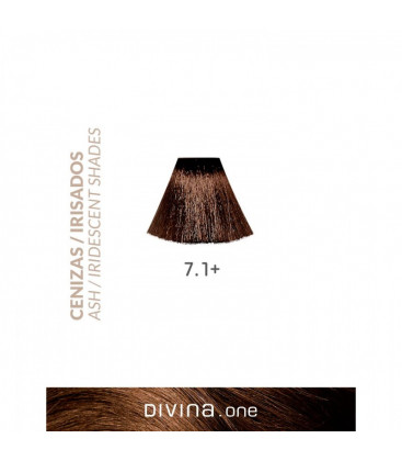 Vopsea de par 7.1+ Light Ash Plus 100 ml Divina.One Eva Professional