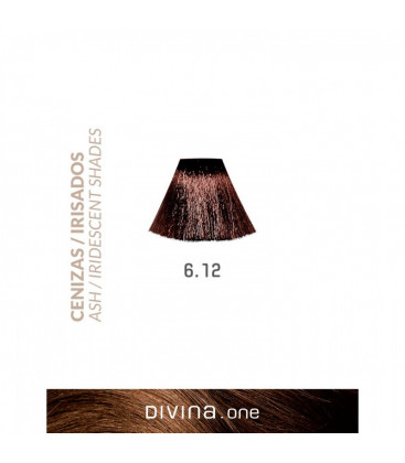 Vopsea de par 6.12 Dark Iridescent 100 ml Divina.One Eva Professional