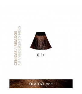 Vopsea de par 6.1+ Dark Ash Plus 100 ml Divina.One Eva Professional