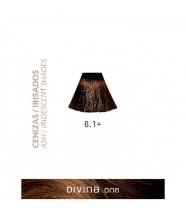 Vopsea de par 6.1+ Dark Ash Plus 100 ml Divina.One Eva Professional