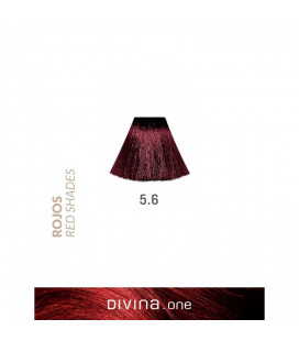 Vopsea de par 5.6 Dark Red 100 ml Divina.One Eva Professional