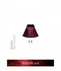 Vopsea de par 5.6 Dark Red 100 ml Divina.One Eva Professional